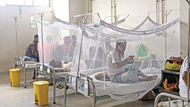 dengue.jpg