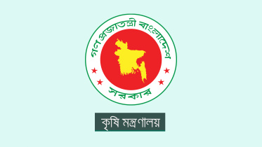 বোরো মৌসুম, হাইব্রিড ধান চাষ, কৃষি মন্ত্রণালয়, ধান,
