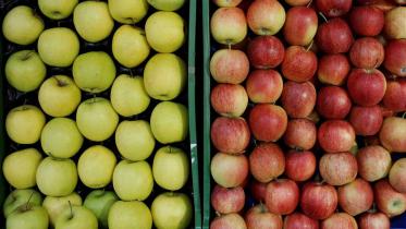 apples_reuters_ds.jpg