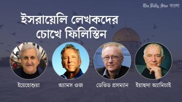 ddebhidd_grsmyaan.jpg