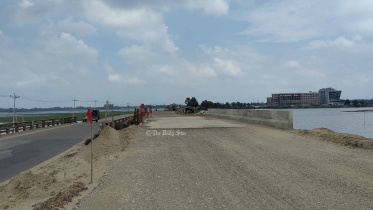 natore-chalan-beel_ds.jpg