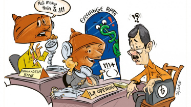 dollar_import_rate_cartoon.jpeg