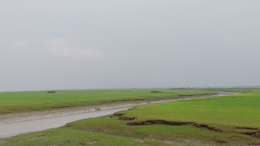ভোলা