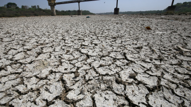 india_draught.jpg