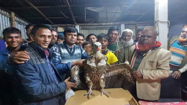 ঈগল ভেবে শকুন নিয়ে নির্বাচনী প্রচারণা