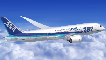 ana_flight.jpg