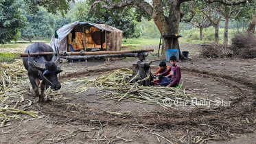 brahmanbaria_lali_gur.jpg