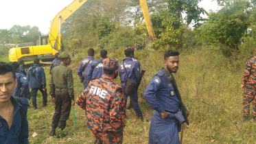 গজারিয়া.jpg