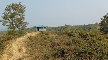 ঘুমধুম