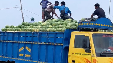 তরমুজ.jpg