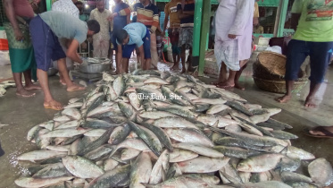 patuakhali-_pic_215_07.04.24.jpg