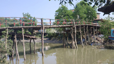 patuakhali-_pic_189_31.03.24.jpg