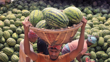 watermelon.jpg