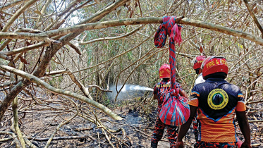 sundarban.jpg