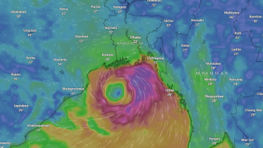windy1.jpg
