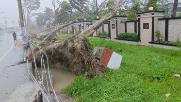 patuakhali-_pic_369_27.05.24.jpg