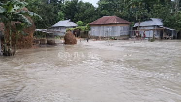 kurigram_dyke.jpg