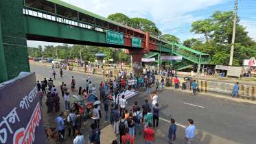 জাবি.jpg