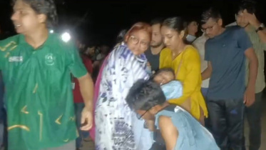 জাবি