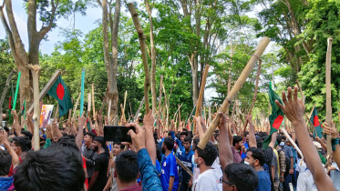 whatsapp_image_2024-07-16_at_4.40.59_pm.jpeg