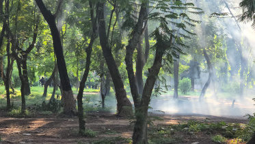 টিয়ারশেল.jpg