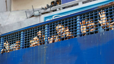 quota_protest_arrested_new.jpg