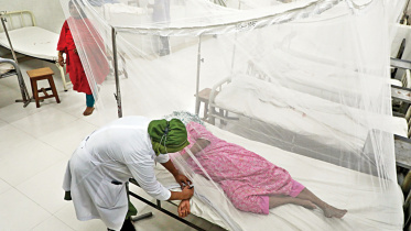 dengue_129.jpg