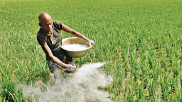 fertiliser.jpg