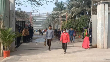 ashulia.jpg
