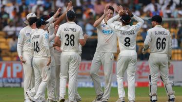 New Zealand cricket 