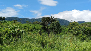 নাইক্ষ্যংছড়ি.jpg