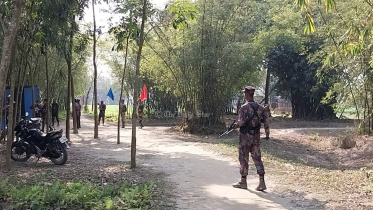 bsf.jpg