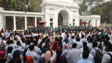intern_doctors_protest_at_hc.jpg