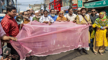 khulna_mosquito.jpg
