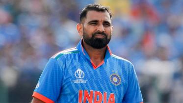 shami.jpg