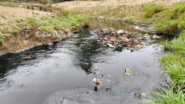 sutang_river_22mar25.jpg