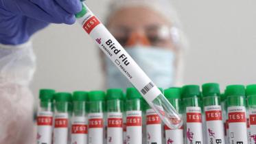 bird_flu.jpg