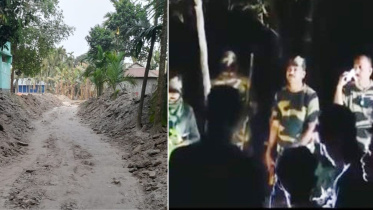 bsf_3.jpg