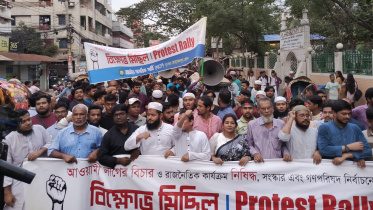 এনসিপি.jpeg