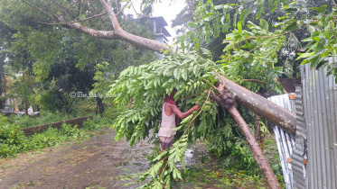 cyclone.jpg