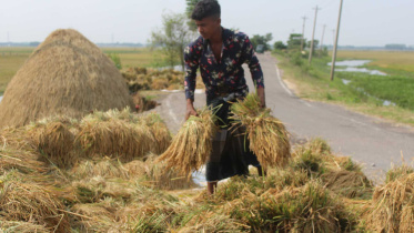 boro_moulavibazar1_3may25.jpg