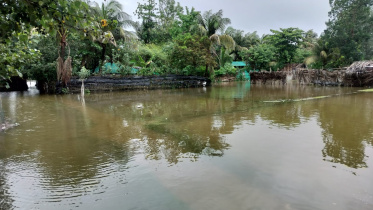 কুতুবদিয়া.jpeg