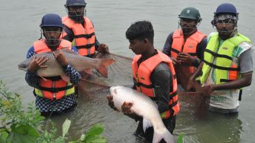 rajshahi_azahar_photo-31-07-2025-21_1.jpg