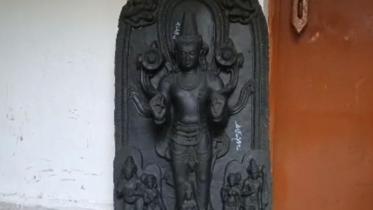 savar.jpg
