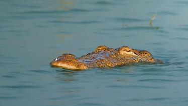 img_2665.jpeg