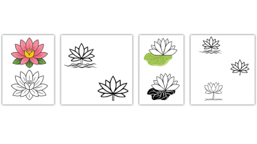 water-lily.png