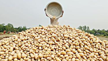 potato.jpg