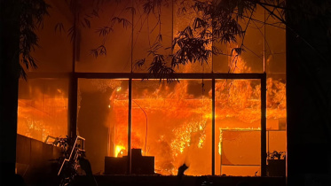 fire.jpg