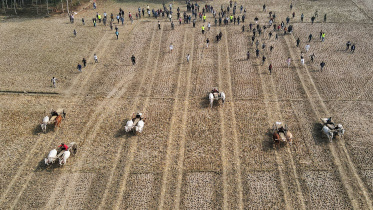 dji_fly_20251226_125634_968_1766732253801_photo.jpg