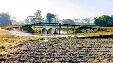 lalmonirhat-border-03.01.jpg